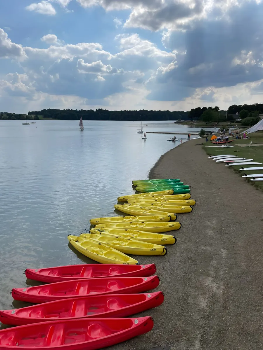Colorful kayaks resting on a lakeshore